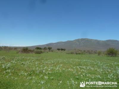 La pradera de la ermita de San Benito;belen viviente de buitrago;rutas senderismo cerca de madrid